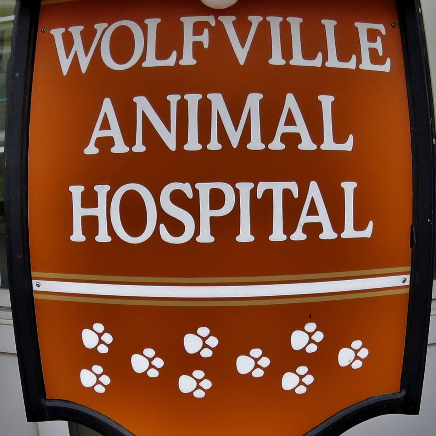 animal hospital sign with paw prints