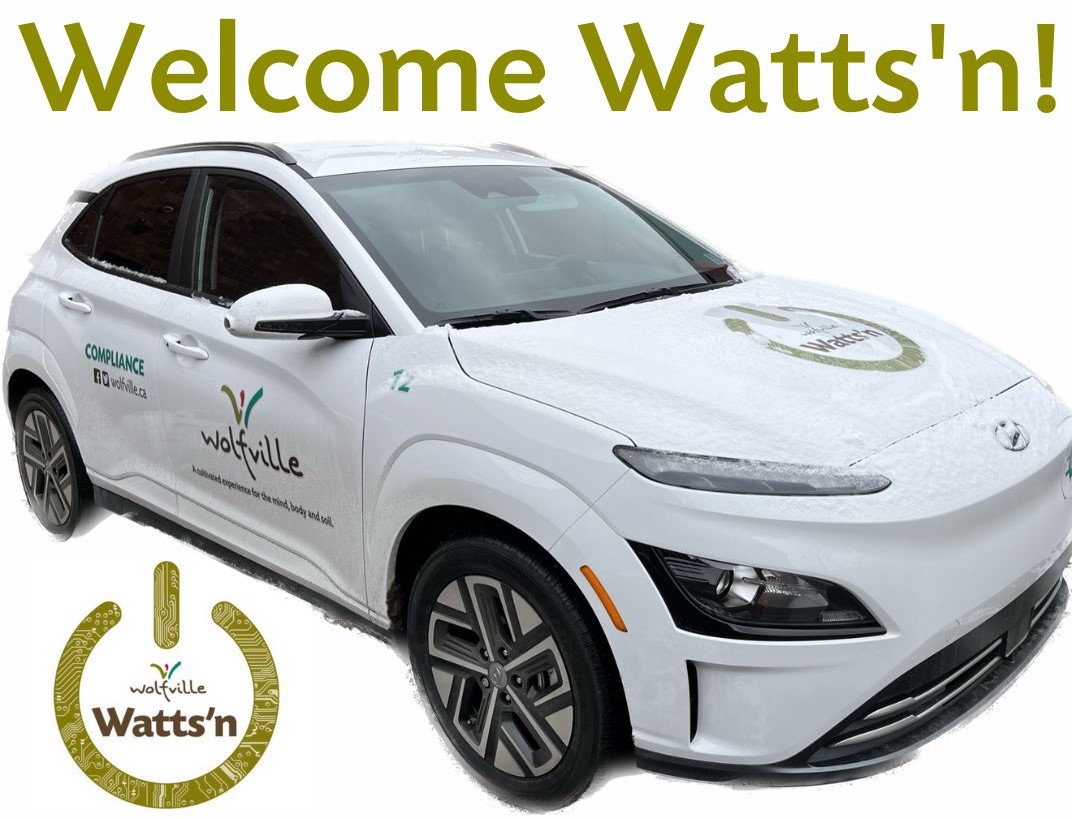 welcome Watts'n