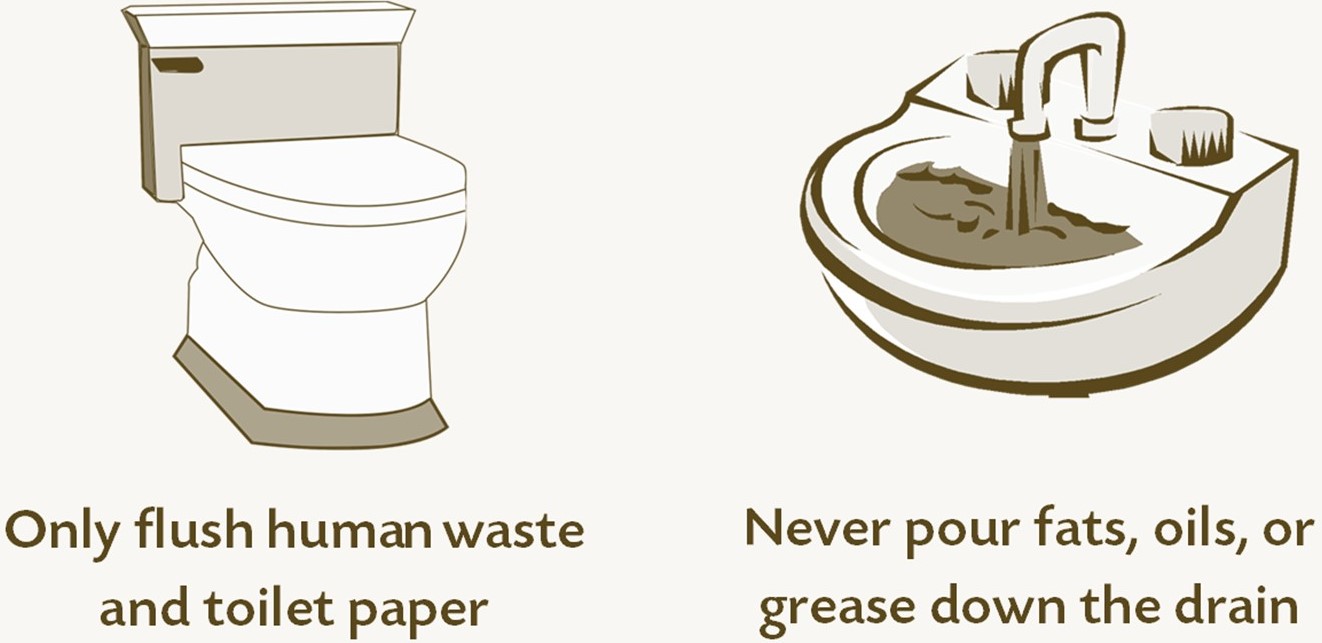 Only flush human waste and toilet paper. Never pour fats, oils, or grease down the drain.