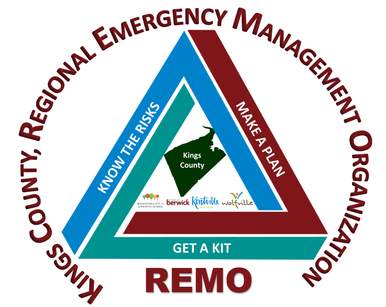 REMO logo