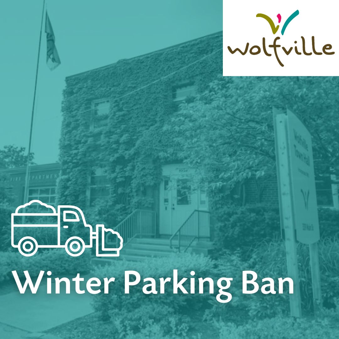 2025 winter parking ban