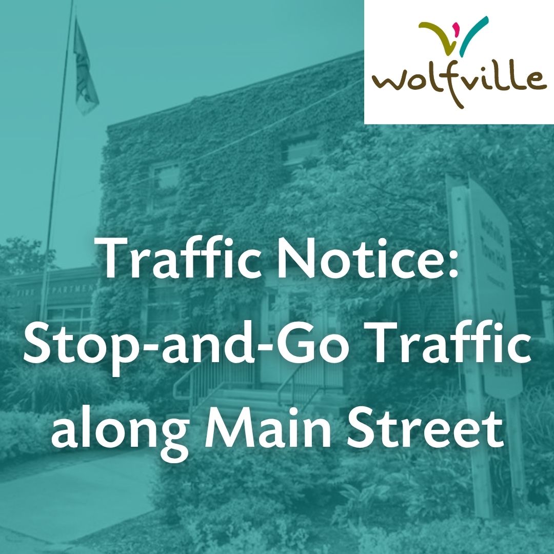 Traffic Notice: Stop-and-Go Traffic along Main Street