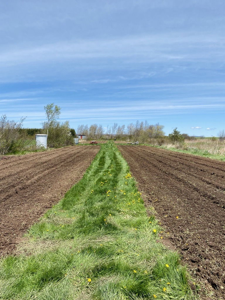 Acadia Community Farm 2026 Image