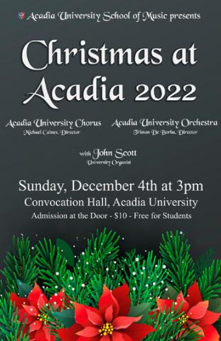 Christmas at Acadia