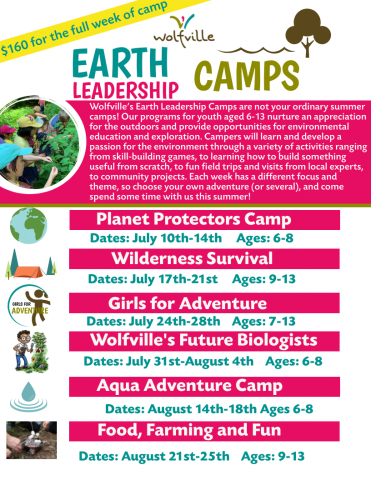 USA Summer Camps  The Ultimate Source For All Things Summer Camp