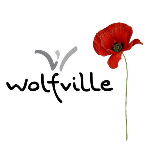 Poppy for Remembrance Day