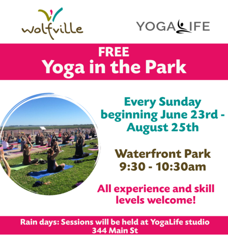 Poster reads: FREE Yoga in the Park. Every Sunday beginning June 23rd-August25th. Waterfront Park 9:30-10:30am. All experience and skill levels welcome! Rain days: Sessions will be held at YogaLife studio 344 Main St. A photo of people practicing yoga at Waterfront park on a sunny day. The Wolfville Blooms logo and YogaLife logo are also both pictured. 