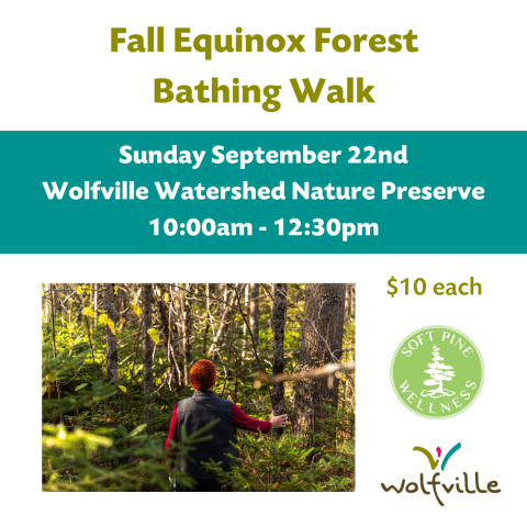 Poster reads: Fall Equinox Forest Bathing Walk. Sunday September 22nd. Wolfville Watershed Nature Preserve. 10:00am - 12:30pm. $10 each. A photo of a person standing in a forest touching a tree is pictured. Soft Pine Wellness and Wolfville Blooms logos are also pictured. 