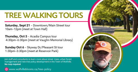 tree walking tours