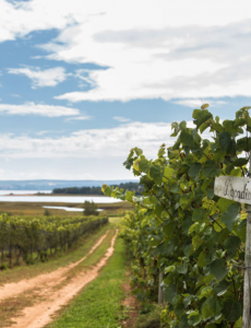 Blomidon Estate Winery