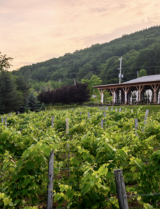 Benjamin Bridge Winery