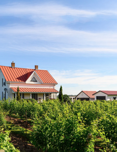 Church street winery