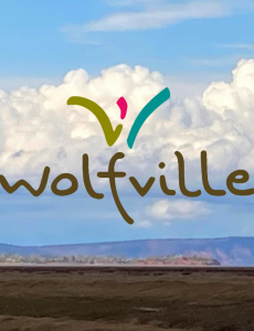 Wolfville Skyline