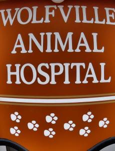 animal hospital sign with paw prints