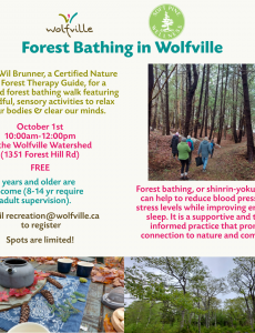 Forest Bathing in Wolfville