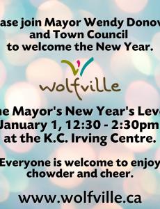 Mayor's Levee invitation