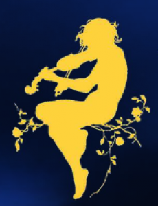 Photo of a person playing a violin. 