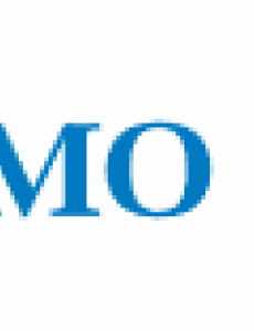 BMO Logo in blue letters, with a red BMO symbol. 