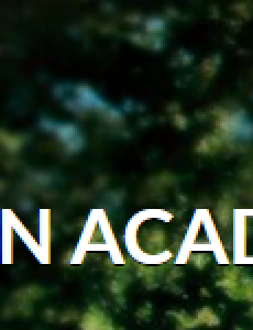 Destination Acadia printed on a photo of trees.