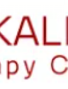 Julie Skaling Physiotherapy Clinic logo.