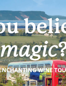 A photo of the Bay of Fundy from Lucketts Vineyard. The words: "Do you believe in Magic? Come along on an enchanting wine tour experience with us" are over the top of the picture.