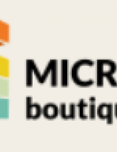 Micro Boutique logo.