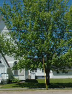 A photo of the exterior of the church.