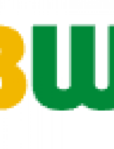 Subway Logo