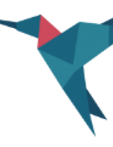 A photo of the Colibri Software Logo