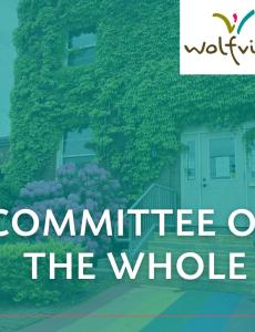 Committee of the whole