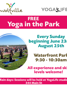 Poster reads: FREE Yoga in the Park. Every Sunday beginning June 23rd-August25th. Waterfront Park 9:30-10:30am. All experience and skill levels welcome! Rain days: Sessions will be held at YogaLife studio 344 Main St. A photo of people practicing yoga at Waterfront park on a sunny day. The Wolfville Blooms logo and YogaLife logo are also both pictured. 