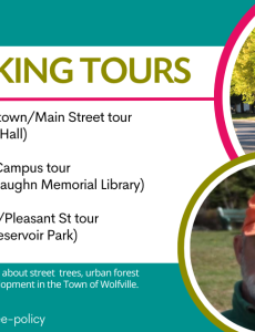 tree walking tours