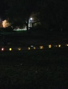 pumpkins