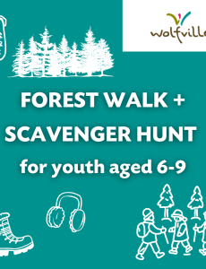 Image reads: FOREST WALK + SCAVENGER HUNT for youth aged 6-9