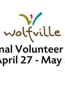 national volunteer week