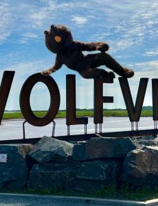 Mudley is lying on top of the WOLFVILLE sign in the Waterfront Park