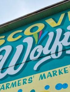 Excited Mudley is standing in front of the "Discover Wolfville" mural