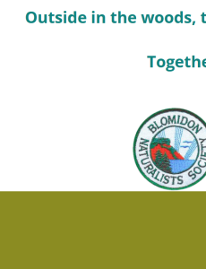 The picture displays trees, Blomidom Naturalists Society logo, KCIC Science Centre logo, and Town of Wolfville logo. The text of the picture says: Outside in the woods, there is no better workplace! Together we can make a difference!