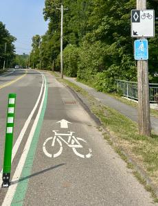 Bollards on a bike land