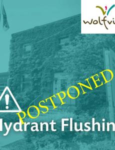 Flushing Postponed