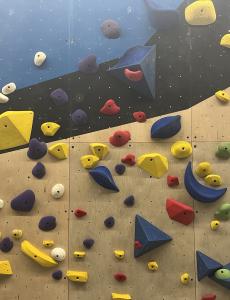 Climbing wall with various coloured holds