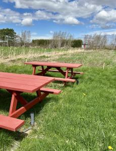 Picnic tables at Farm