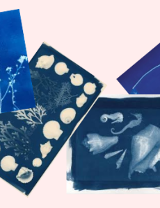 Image description: A spread of various cyanotype print examples