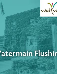 Flushing